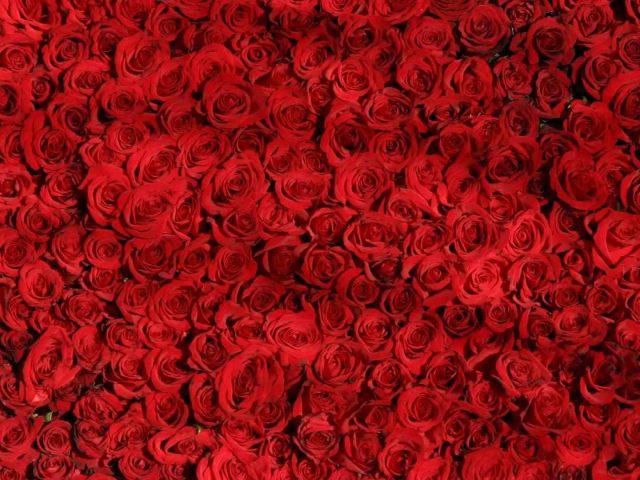 destinos de san valentin